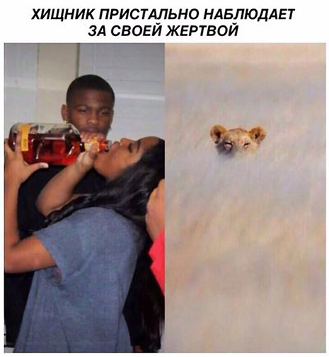 Немного картинок на вечер