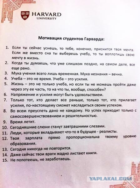 Такой плакат нужно повесить в каждом университете