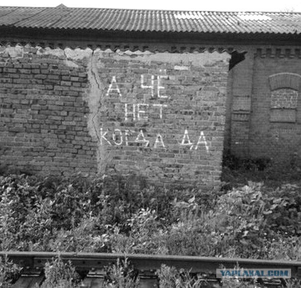 Стырнета