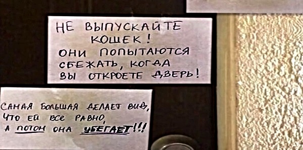 Анекдоты, соц-сети и картинки с надписями