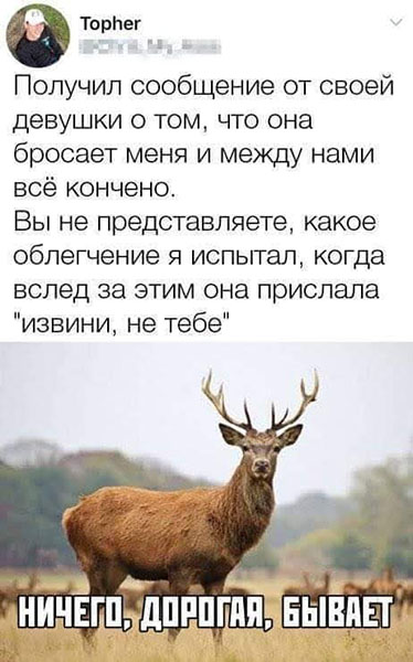 Картинки