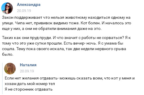 Помогите вернуть кота! Приют "Преданное сердце" украл кота и не отдает!
