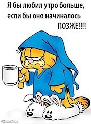 Жаворонки и совы