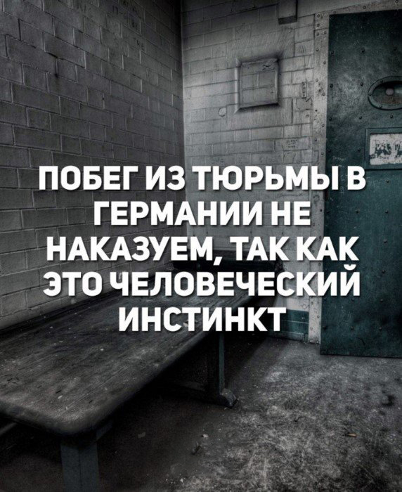 Наслаждайтесь картинками, друзья