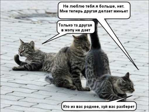 Подпиши фото!