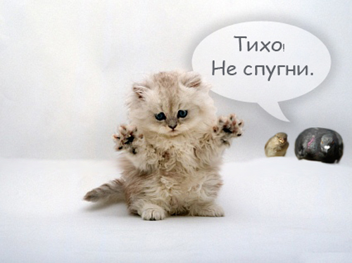 Диалог