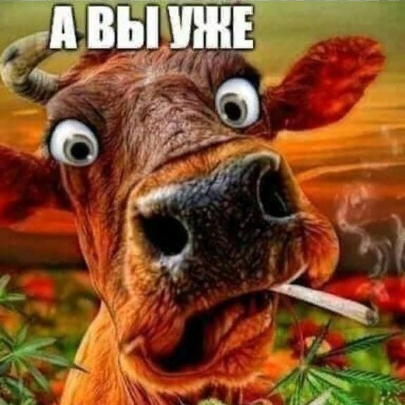 Обратная связь
