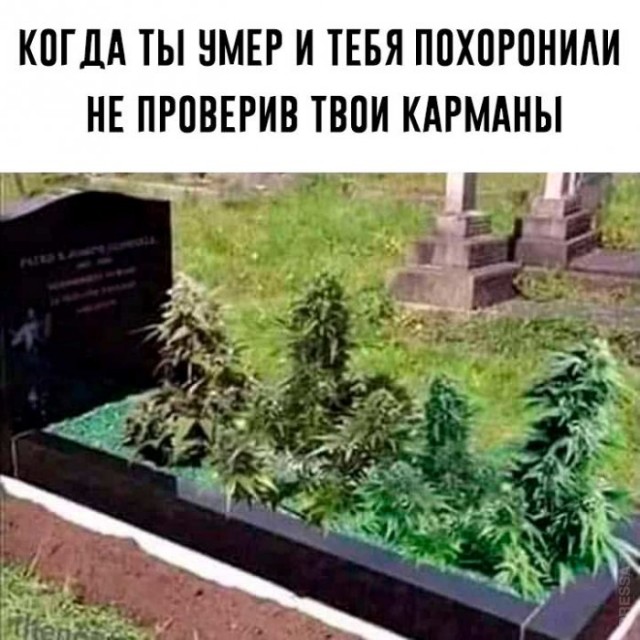 Gucci выпустил мужские джинсы с... пятнами от травы. Они стоят почти 60 тысяч рублей
