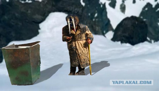 Жабим моржэ!1