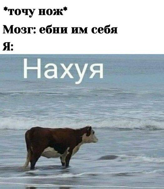 Насохранял