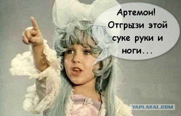 Владелец добермана — о той самой разборке с "автоледи без поворотников" на КАД