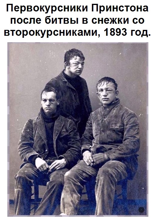 Картинки и мемы для настроения 05.08.2021