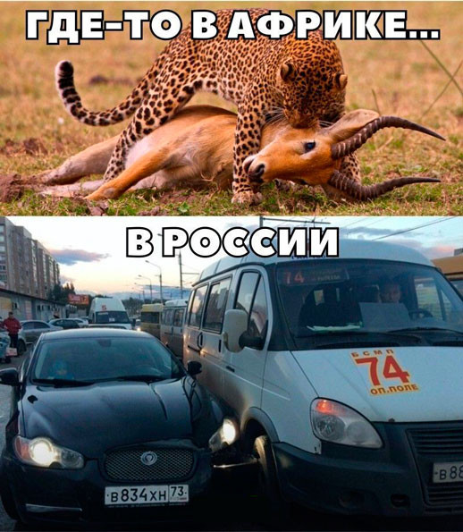 Картинки и мемы для настроения 17.08.2021