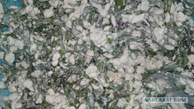 ЧудУ (лепешки) с разной начинкой