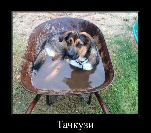 Баянисто-небаянистый юмор 21.04.22