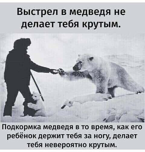 Фото-винегрет-4. Картинки ниапчём и обо всём