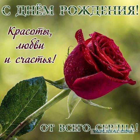 Пандемия. Коронавирус и съехавшие крыши. Россия и мир. Часть 34.