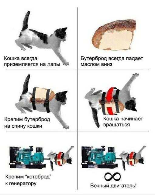 Долго всматривался в фото, чтобы понять