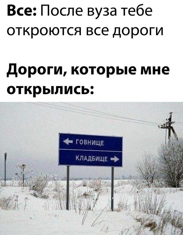 Так себе картинки 14.07.22
