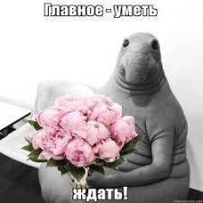 Ситуация в Балаклее часть 3