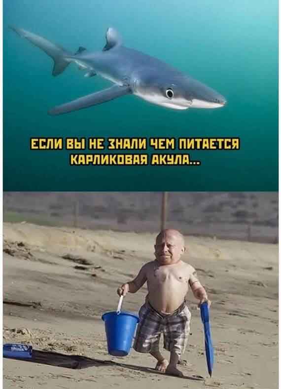 Чёрно-пошлая деградация на пятницу