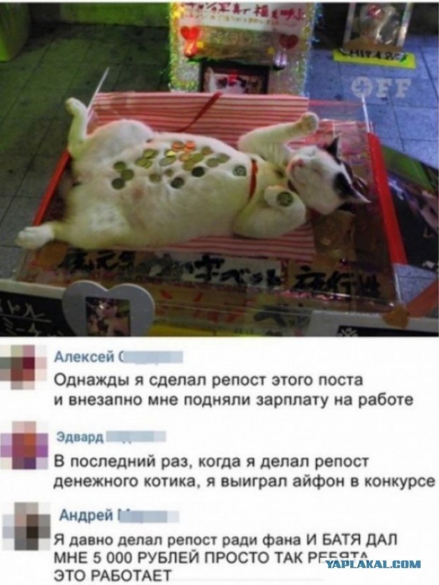 Скриншоты и комментарии из социальных сетей 10.12.22