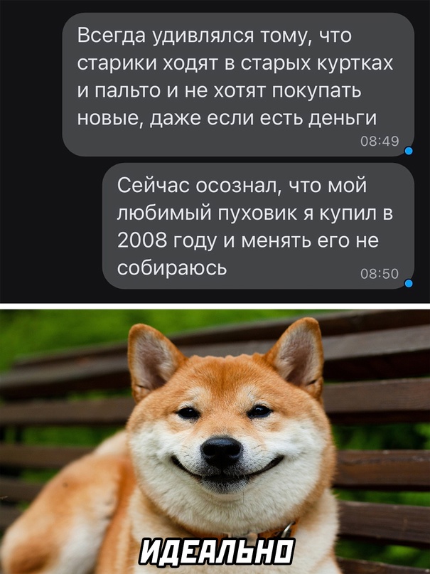 Весёлый полтишок 26.12.2022