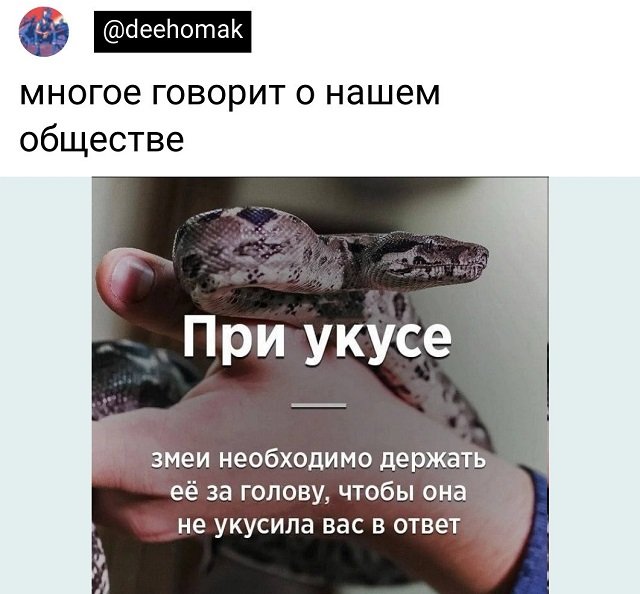 Картинки и мемы для настроения - 119