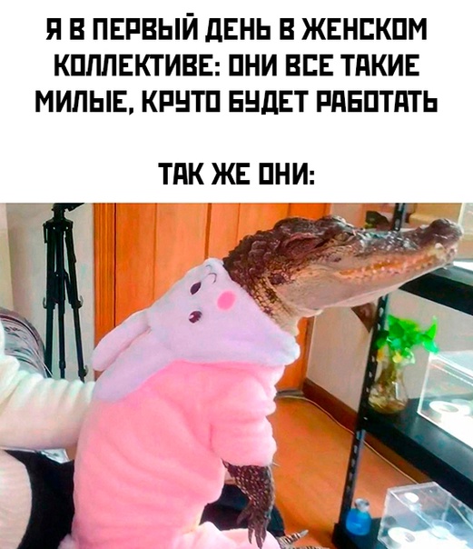 Картинки и мемы для настроения - 131