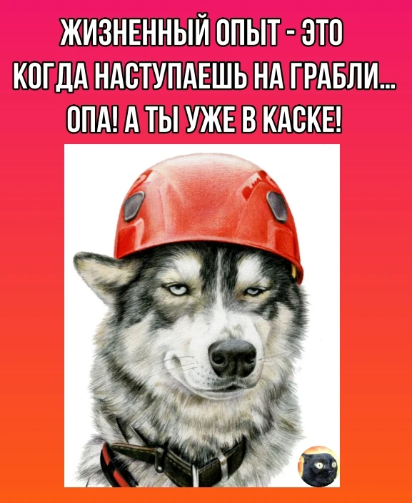 Немного картинок для настроения - 165