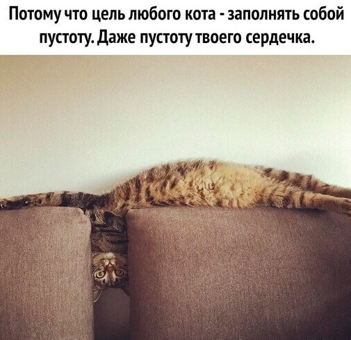 Так себе картинки 21.05.23