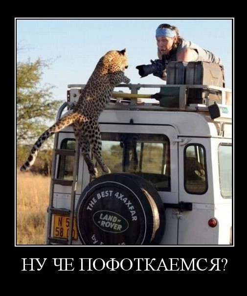 Картинки с надписями 22.07.23