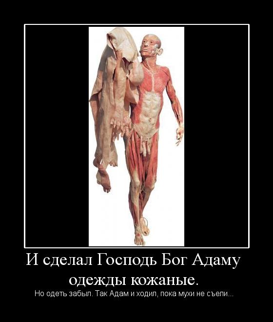 Новые демотиваторы