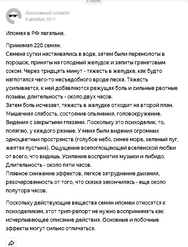 Россиян предупредили, какой цветок теперь нельзя выращивать на даче