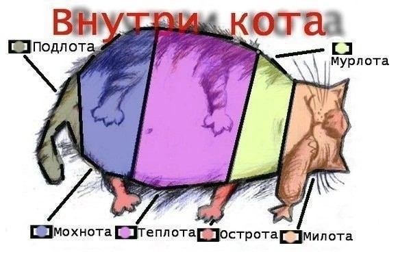 Завалялось тут случайно немного забавных картинок