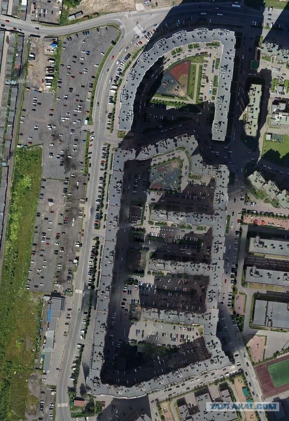 В Сети разместили фото с настоящего «человейника» в Кудрово