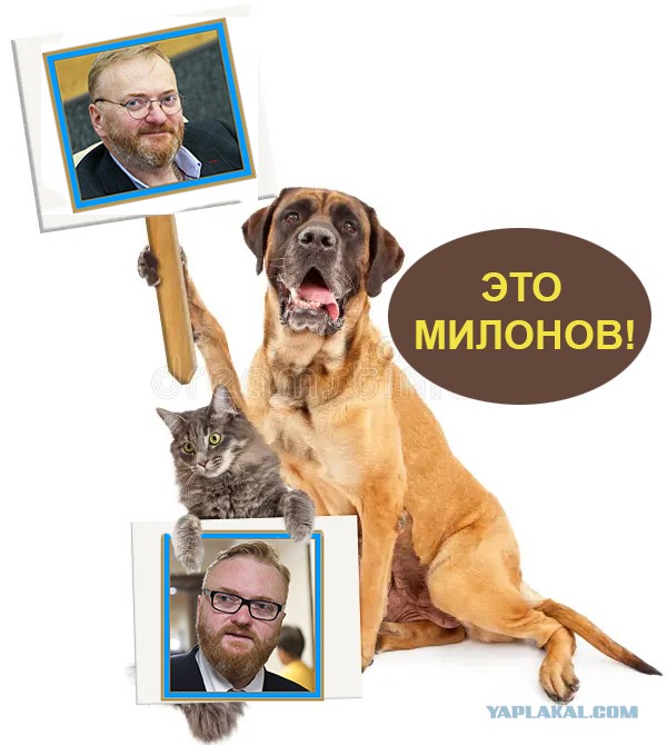 Очередная идея Милонова (upd: фейк)
