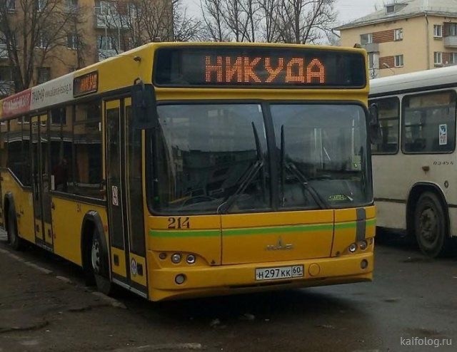 Прикольные и просто красивые картинки 12.11.2024