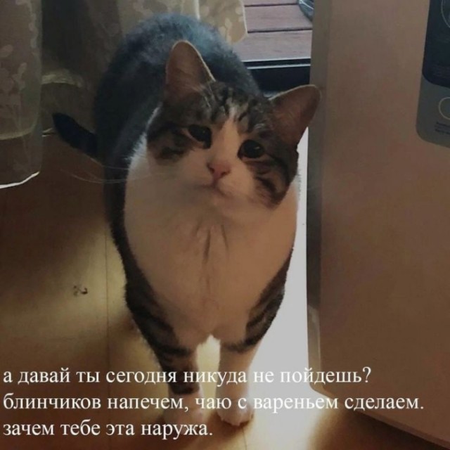 Веселые картинки в пятницу (10.01)