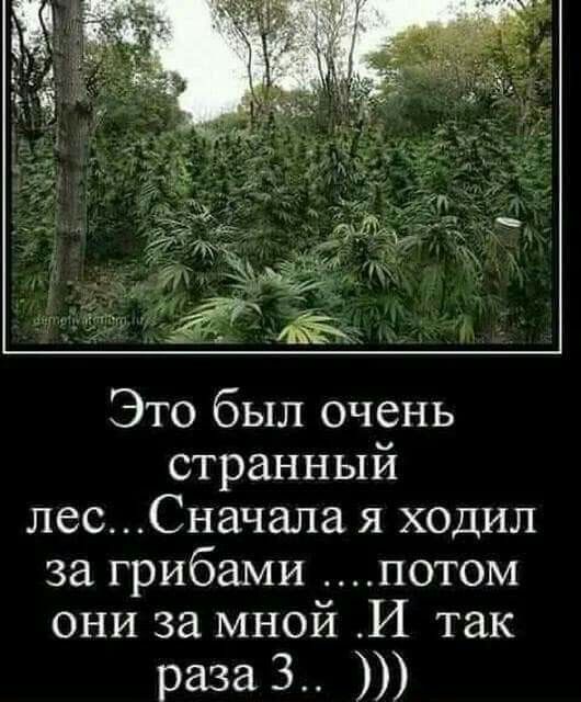 Забавные картинки, шутки из этих ваших интернетов