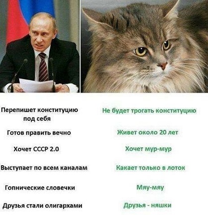 Путин: Трамп быстро наведет порядок, и европейцы «встанут у ноги хозяина»