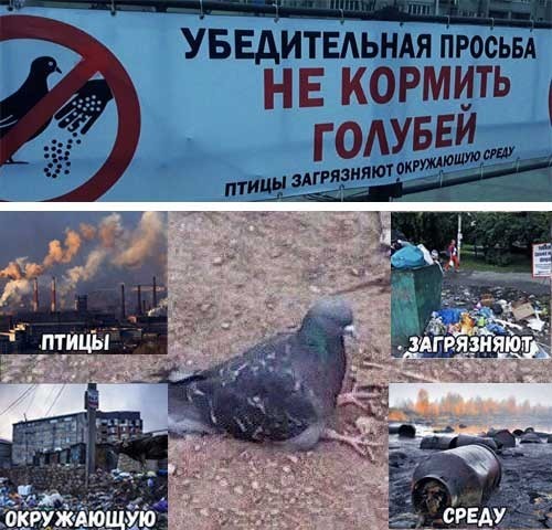 Так себе картинки 21.02.25