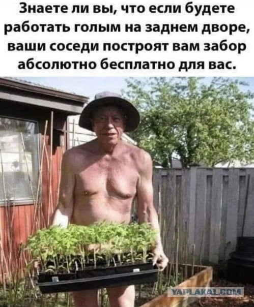 Так себе картинки 26.02.25