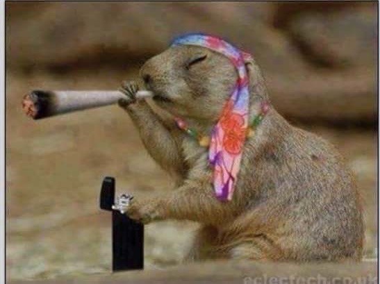 Прикольные и просто красивые картинки 04.04.2025