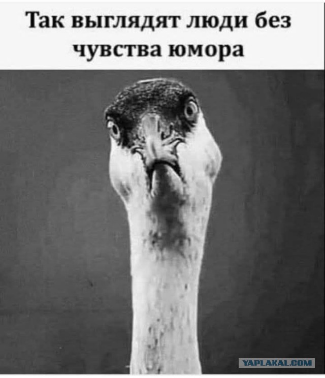 Чувак устроил себе нереальный челлендж