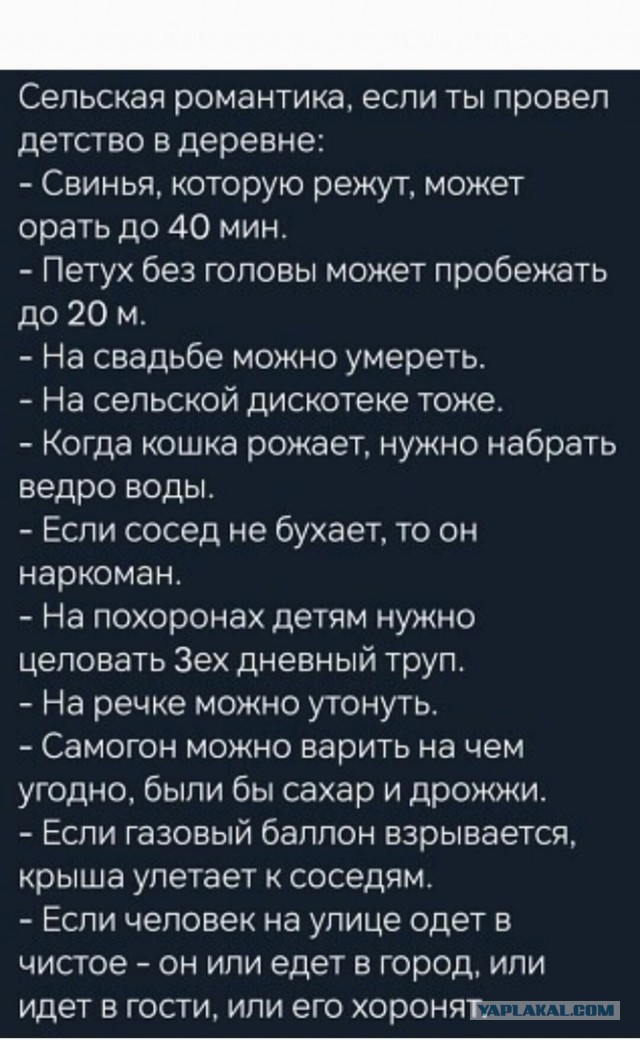 Так себе картинки 17.05.25