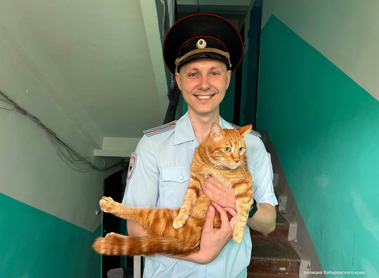Участковый спас выпавшего из окна кота в Комсомольске