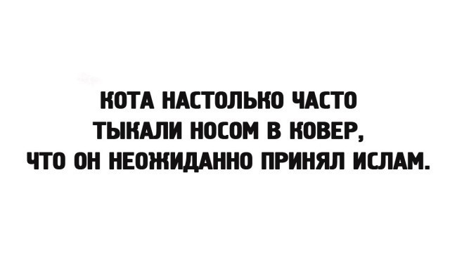 Соточка. Внеплановая. Дичь.