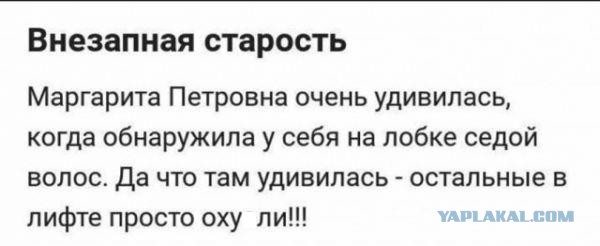 Как избавиться от трупного запаха в квартире