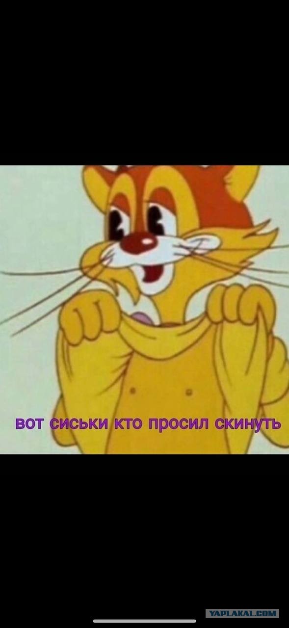 Хочу показать сиськи